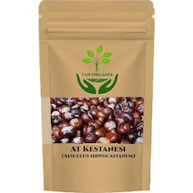 At Kestanesi Aesculus Hippocastanum 225 Gr