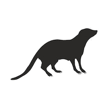 Sansar Folyo Sticker 200cm Uzunluk Siyah