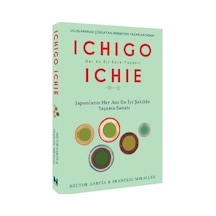 Ichıgo Ichıe - Aıaı-878093