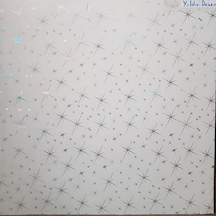 (10 Adet) 60X60 Pvc Asma Tavan Paneli (Yıldız Desen )