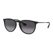 Ray-Ban Erkek Güneş Gözlüğü Rb4171 622/8G Ray-Ban Erika