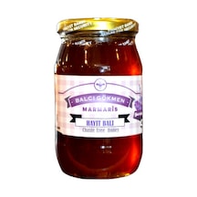 Gökmen Süzme Hayıt Balı Kavanoz (450 G)