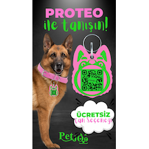 Petjoo 24.Proteo Yeşil-Pembe Qr'lı Köpek Künyesi