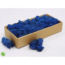 Reindeer Moss Mavi Şoklanmış Norveç Yosunu 500gr