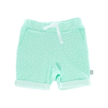 Mint Yeşili