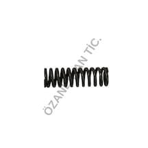 Pejo Motor Gergi Yayı