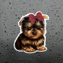 Sevimli Yorkshire Terrier Köpek Araba Sticker Çıkartma 2