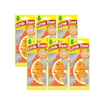 Car Freshner Asma Koku 6'lı Portakal