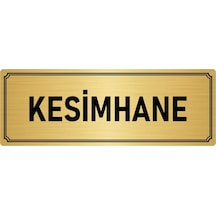 Metal Yönlendirme Levhası, Departman Kapı İsimliği Kesimhane 10x20 cm Altın Renk