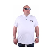 Çok Renkli