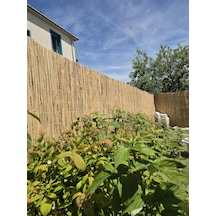 Greenosier Doğal Hasır Kamış Gölgelik Dekorasyon Balkon Teras Pergola Bahçe 1m X 4metre Diğer