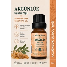 10 ML