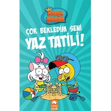 11 - Çok Bekledim Seni Yaz Tatili - Rxlu-641521