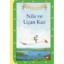 Nils Ve Uçan Kaz