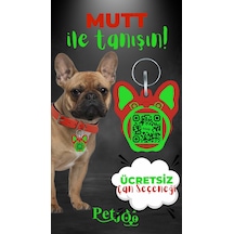 Petjoo 10.Mutt Yeşil-Kırmızı Qr'lı Köpek Künyesi