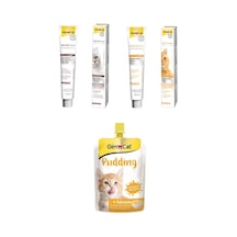 Gimcat Multivitamin Kedi Macunu 100 G + Malt Soft Extra 100 G