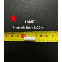 Manyetik Balık 6x20 Mm - Boy:20 Mm - Çap:6 Mm - 1 Adet