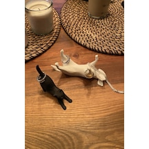 Kazanova Design Kedi Ve Köpek Takı Standı Siyah Kedi Beyaz Köpek Takı Organizeri Dekoratif