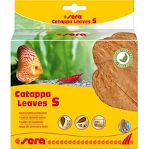 Sera Catappa Leaves Hint Bademi Yaprağı S 14 Cm (10 Adet)