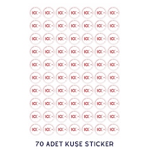 Cumhuriyetin 100. Yılı Kutlu Olsun 4xm X 70 Adet Kuşe Sticker