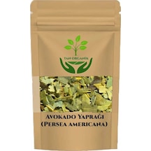 Avokado Yaprağı Persea Americana 25gr