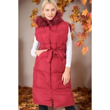 Z6744 Dewberry Bayan Yelek-koyu Bordo Koyu Bordo