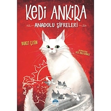 Kedi Ankira / Buket Çetin