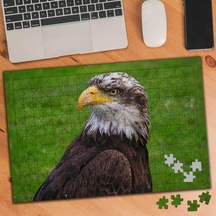 Yırtıcı Kuş Kartal 240 Parça Puzzle Yapboz-75291