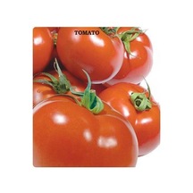 Sc-2121 Domates Tohumu 2gram
