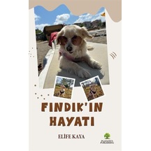 Fındık'ın Hayatı / Elife Kaya