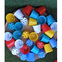 Kaktüs Saksısı 5,5X5 Cm Kaktüs Sukulent Üretim Saksıları Renk Seç