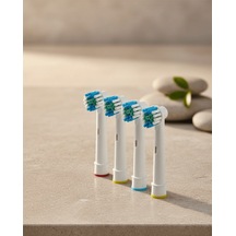 Renk Halkalı Aile Tipi Diş Fırçası Yedek Başlığı 4 Lü Paket Tkdytgsqeh988moıd80