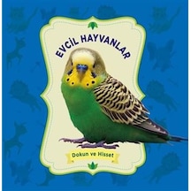 +1 Yaş Dokun ve Hisset – Evcil Hayvanlar 0-6 Yaş Yayınları