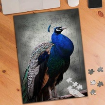 Renkli Tüylü Tavus Kuşu 240 Parça Puzzle Yapboz-75442