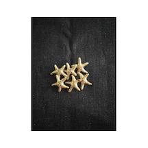 Gold Metal Yıldız Düğme 25 Mm 40 Boy 6 Adet