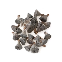 Yapay Çiçek Deposu 25li Paket Mini Lotus Plant Gerçek Lotus