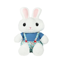 Bay Dreamy Boy Peluş Çok Renkli
