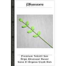 Çok Renkli