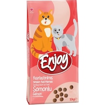 Enjoy Kısırlaştırılmış Somonlu Yetişkin Kedi Maması 10 KG