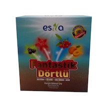 Fantastik Dörtlü Sel Yaz Çayı 45 Süzen Poşet