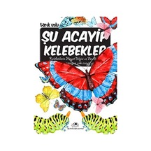 Şu Acayip Kelebekler - Yqbx-623172