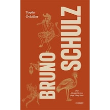 Bruno Schulz Toplu Öyküler Karton Kapak / Bruno Schulz