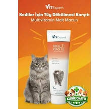 Multi Paste Tüm Kediler Için Multi Vitamin Bağışıklık Ve Tüy Sağlığı Tamamlayıcı Malt Macun 100 Gr