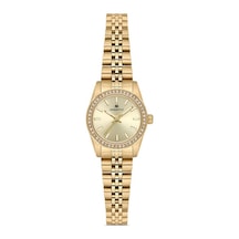 Momentus Sw262g-08sg Sarı