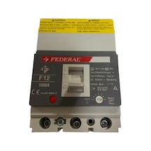 Federal F12 100A Ayar Sahalı Kompakt Şalter