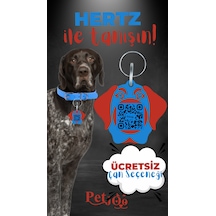 Petjoo 26.Hertz Kırmızı-Mavi Qr'lı Köpek Künyesi
