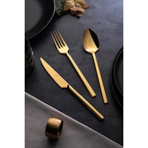 Nehir Dalyan Titanyum Gold 89P Deri Kutulu Ç.K.B.Tk.