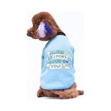 Mavi Loviisa Sweat Kedi Köpek Sweat- Kedi Köpek Kıyafeti
