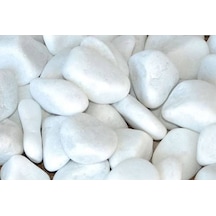 Dolomit Taş 6-10 Cm 5 Kg Beyaz Taş Bahçe Taşı Teraryum Akvaryum T