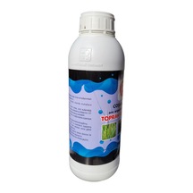 Saksı Gübresi 1 Kg